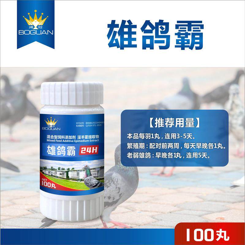 搏冠雄鸽霸信鸽用品赛鸽种鸽调理雄鸽宝公鸽子保健品非鸽药鸽子药