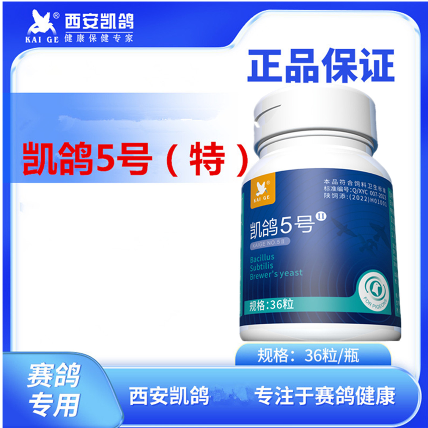 凯鸽5号特赛鸽子鹦鹉单眼流泪