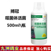 搏冠噬菌体活菌噬君活菌液信鸽用品赛鸽活菌百益活菌调肠道非鸽药