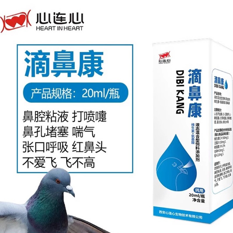 心连心滴鼻康鸽比赛清理呼吸道
