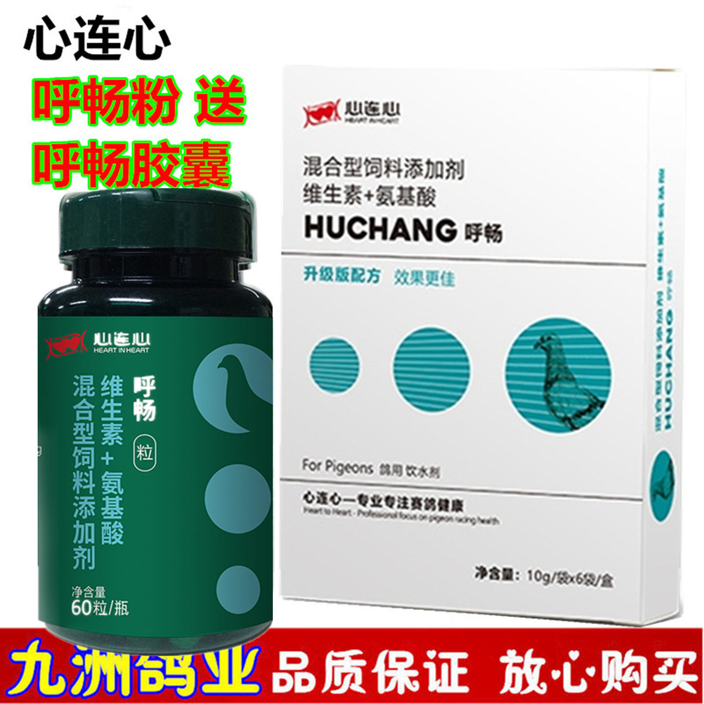 心连心呼畅粉赛鸽清理呼吸道粘液
