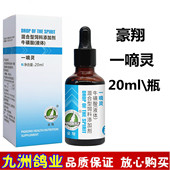 一滴灵豪翔一嘀灵信鸽用品赛鸽观赏鸽眼睛流泪鸽子调理饲料非鸽药