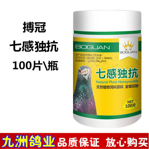 七感独抗鸽子药搏冠赛鸽水便绿便