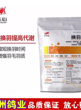 心连心换羽素赛鸽幼鸽换羽期营养