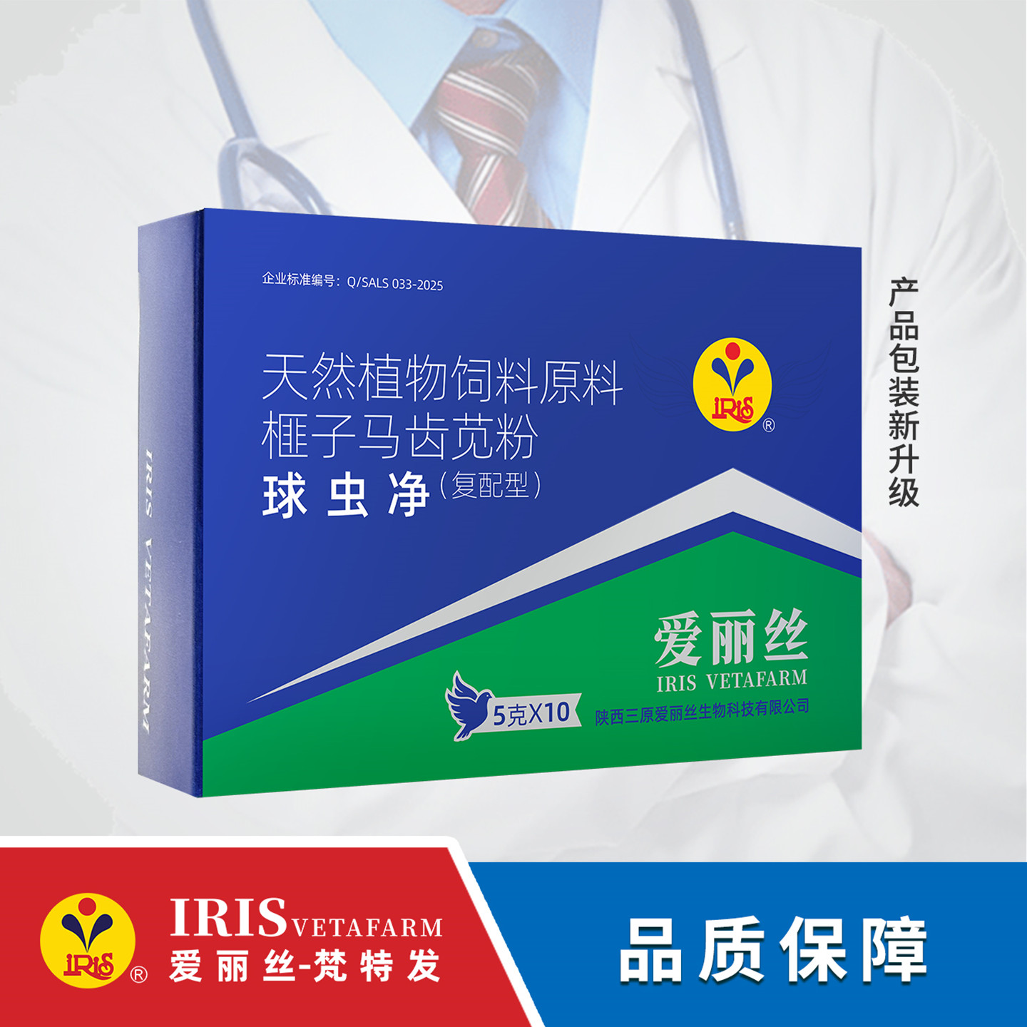 爱丽丝球净粉赛鸽球肠道