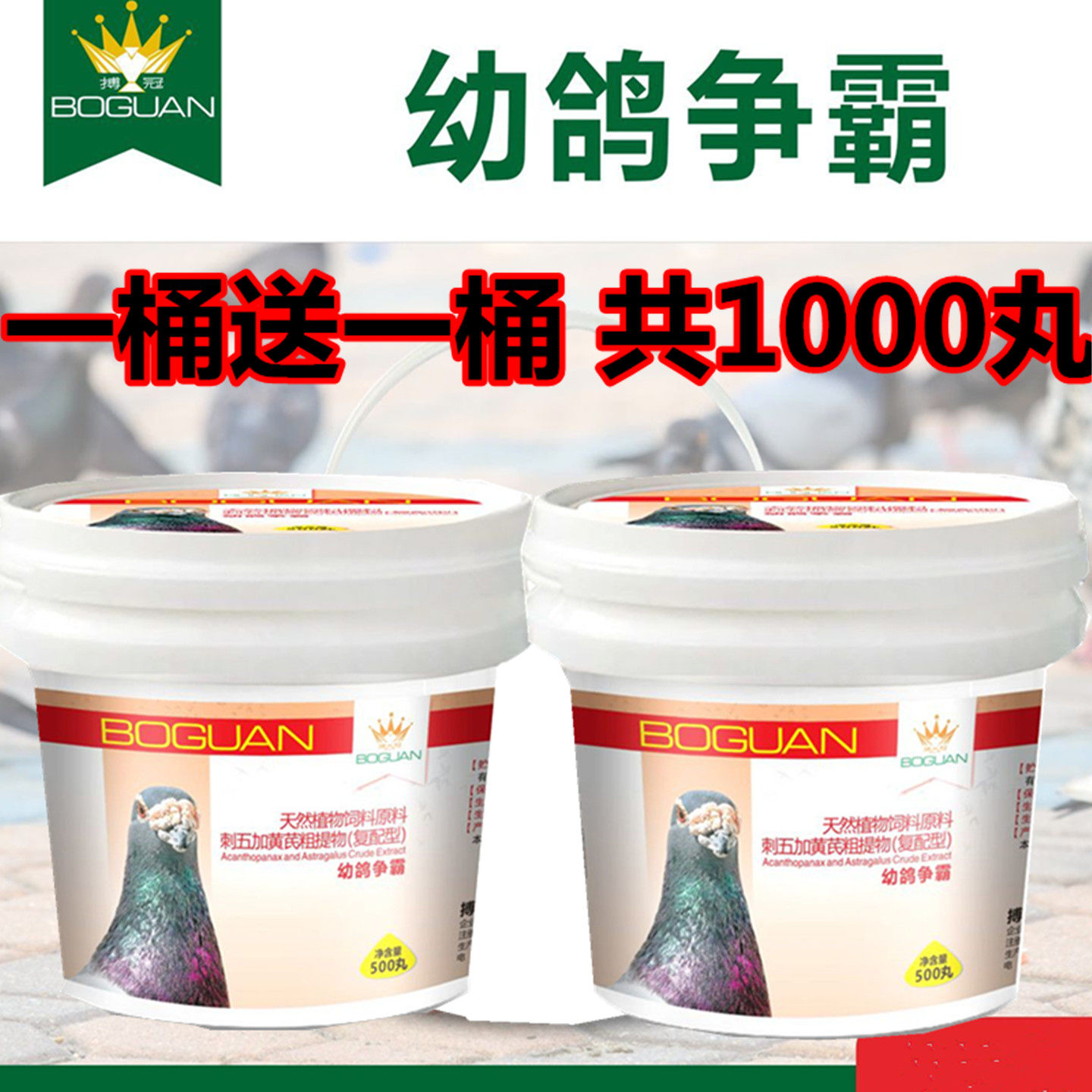 搏冠幼鸽争霸幼鸽宝育雏宝育雏丸