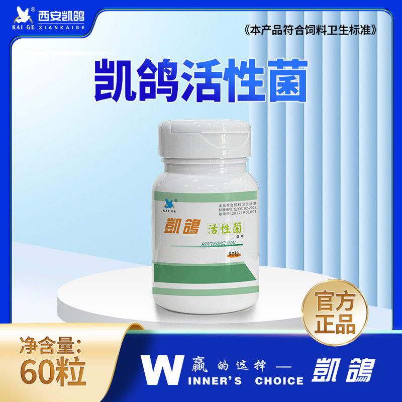 凯鸽活性菌赛鸽子肠道益生菌