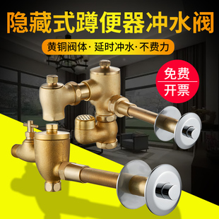 暗装 船用黄铜隐藏式 加长手按蹲便器冲洗阀带隔污器监狱厕所冲水器