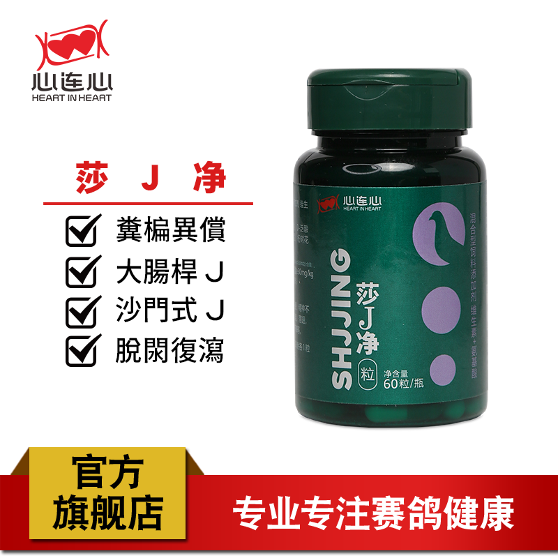 心连心莎J净鹦鹉鸽子赛鸽信鸽
