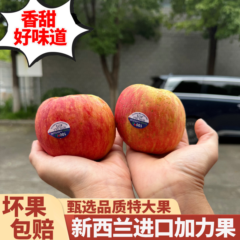 新西兰进口苹果加力果大果水果脆甜多汁好味道甄选当季新鲜苹果图片