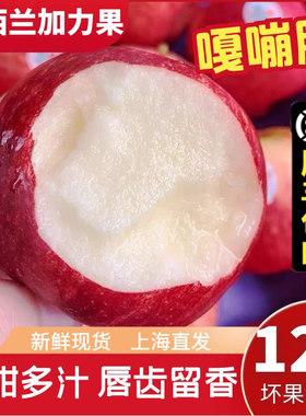 新西兰进口嘎啦苹果顺丰包邮