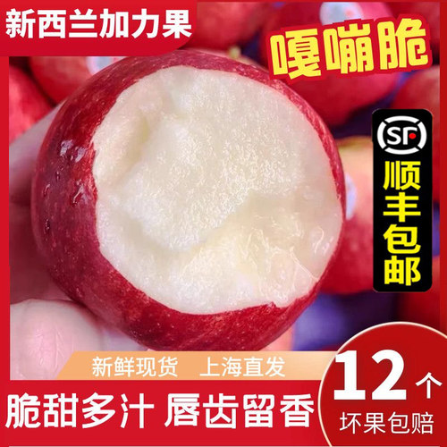 新西兰进口嘎啦苹果顺丰包邮