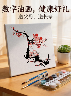 中国风水墨老人DIY数字油画
