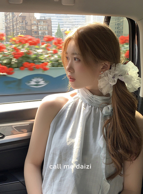 韩国2025新款发饰紫色碎花轻奢气质扎丸子头蕾丝大肠发圈高级感