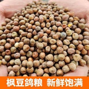 枫豆进口麻豌豆灰豌豆青信鸽赛鸽观赏鸽专用饲料鸟食鸽子鸽粮50斤