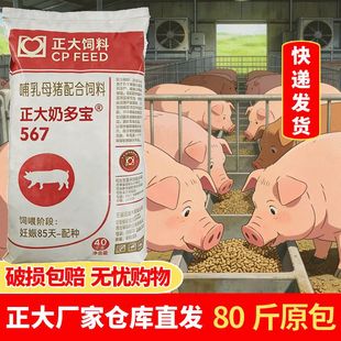 正大567奶多宝 哺乳母猪专用饲料配合猪料全价料正宗正品养殖80斤