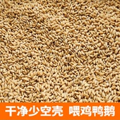 稻谷水稻带壳稻子粮食大米谷子喂鸡鸽粮喂鸽鸡鸭鹅鸟仓鼠宠物饲料