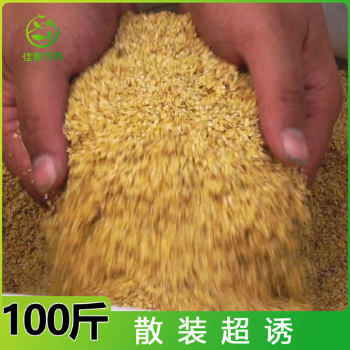 超诱饵料小麦胚芽饲料原料鱼饵