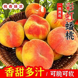 陕西毛蟠桃新鲜应当季蟠桃子孕妇当季水果鲜脆甜蟠桃软吃香甜多汁
