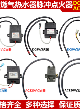 恒温天燃气热水器5V脉冲点火器220V电子打火控制盒液化气通用配件