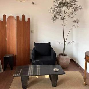 澳州佛肚树苗进口植物 昆士兰瓶杆树 珍稀名贵树种