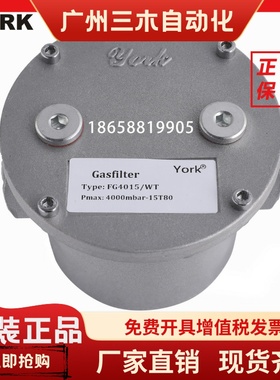 York约克FG4015WT FG4025WT FG4040WT FG4065FT FG4080燃气过滤器