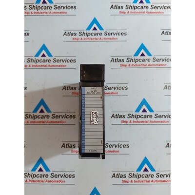 Modulo Di Ingresso GE FANUC IC693MDL645E