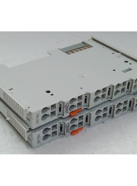 LOTTO DI 2 MODULI FINE WAGO 750-600