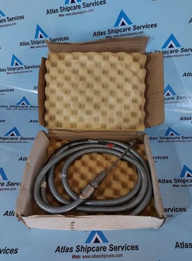 71307/2232 Boiler Olio Rilevatore