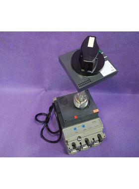 Merlin Gerin TM250D 250 安 3 相隔离器开关断开器 + Handl,二手