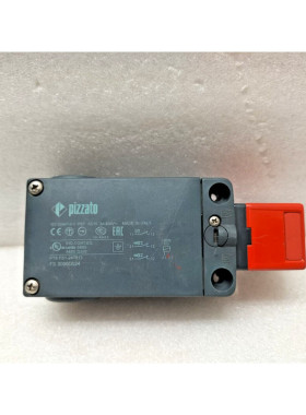 Pizzato FS 3096D024 安全开关 带独立活动锁