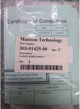 MATTSON 303-01425-00 PADDLE,条纹,ASPEN 2,全新