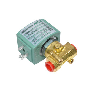 valve E262K022S0V00DW ZP21004812 ASCO solenoid RIEGLER