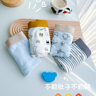 短裤 12岁不夹屁屁平角内裤 纯棉a类棉小男孩宝宝9 秋冬儿童内裤