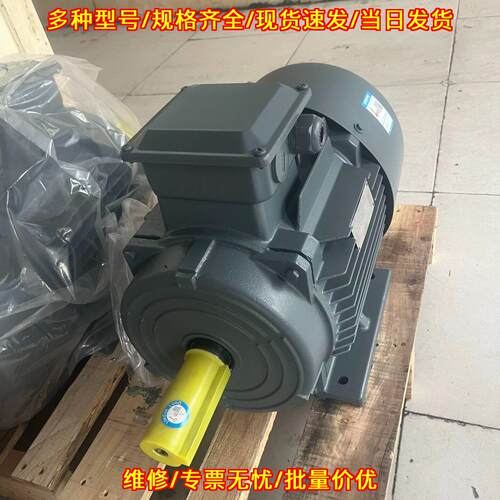 1TL0003-1DB23-3AA4 卧式电动机 11KW 4级议价维修