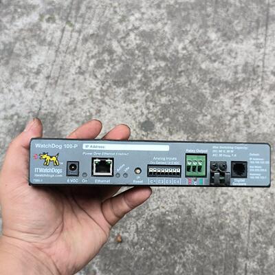 100-P WatchDog 工控控制器 工业自动化控制模块议价维修