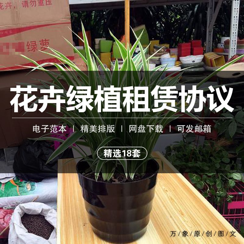 花卉盆景租赁合同范本绿色植物盆栽花木养护租赁租摆协议电子模板