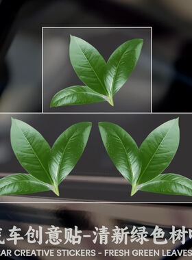 清新绿色树叶贴画创意汽车电动车划痕遮挡电脑行李箱划痕遮挡贴画