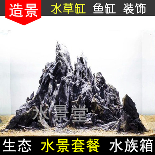 青龙石鱼缸装饰造景 黑木蕨黑幕蕨水 下叶阴性草真水草造景套餐