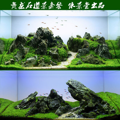 青龙石造景套餐 沉木杜鹃根水草鱼缸水族箱装饰 摆件 鹅卵石 水草
