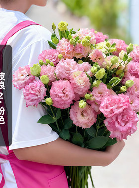 SAKATA进口洋桔梗种子波浪2/粉色Pink重瓣切花型盆栽春秋播