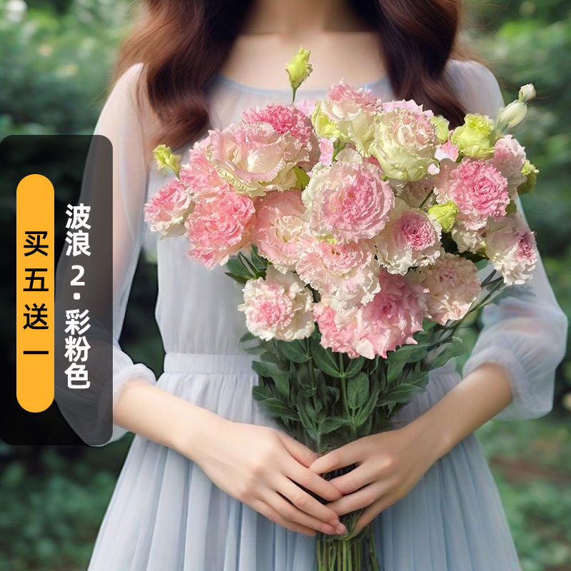 进口洋桔梗种子波浪2/彩粉色Pink flash冰淇淋重瓣切花盆栽秋播