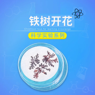 畅高结晶实验学生科技小制作diy材料化学包铁树开花科学玩具