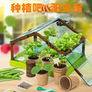 儿童种植吧阳光房创意植物手工diy材料包科学小实验学生迷你玩具