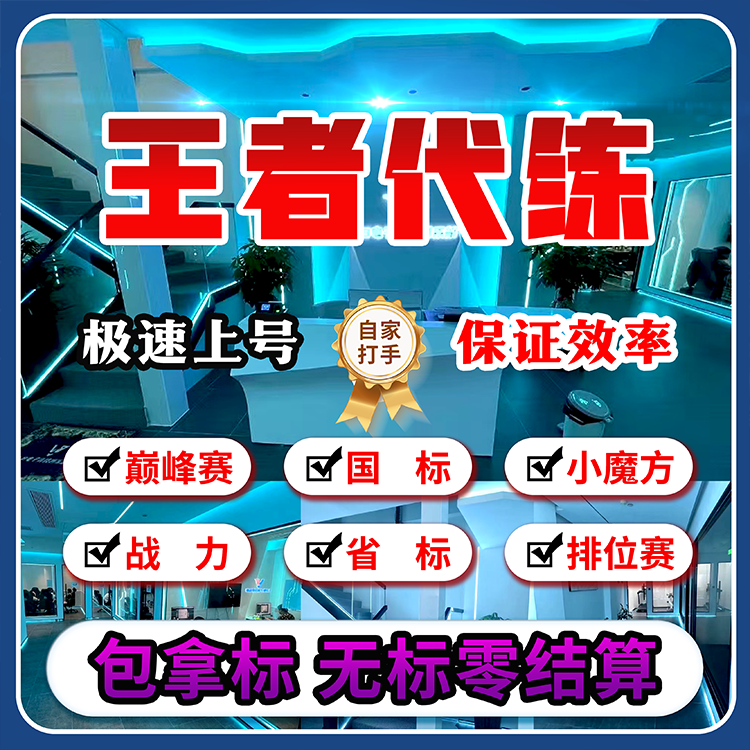 王者荣耀代练大小国标省标国服代陪打排位魔方称号巅峰赛包拿金标
