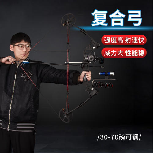 德乐石复合弓射箭弓箭射击反曲弓