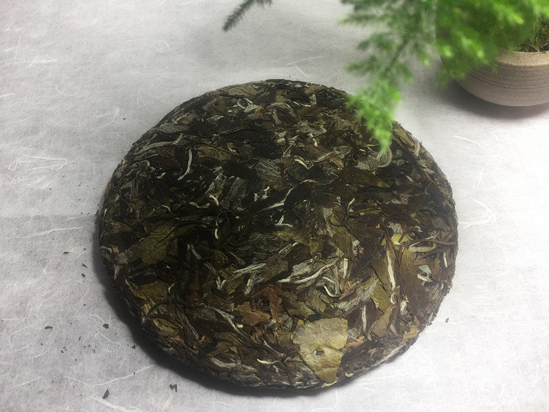 王氏传统十年陈稀有野生白牡丹