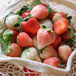 待定！悟空家草莓福袋隋珠黑珍珠粉玉妙香梦之莹白粉红新鲜水果
