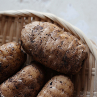 SF！悟空家藏地鲜天麻源自西藏林芝波密原始森林野仿生抚育食材