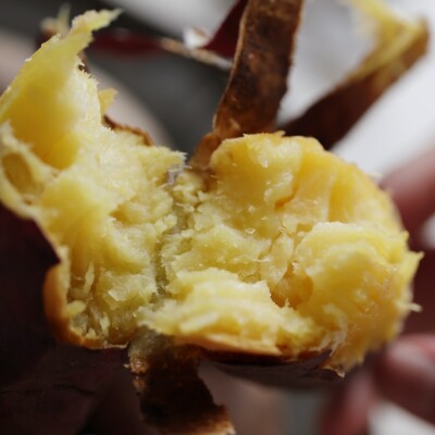 悟空家鸣门金时地瓜板栗薯红薯黄心番薯山芋粉糯香甜蜜薯烤地瓜